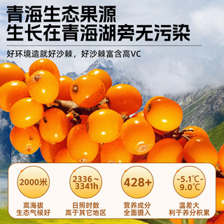 伊禧堂沙棘原浆内蒙青海沙棘VC鲜榨NFC沙棘汁原浆