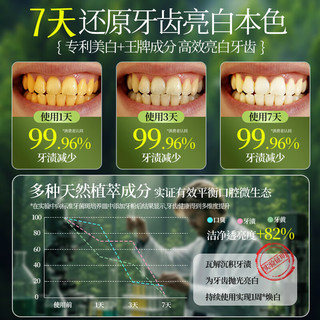 LAYANANA澳洲洗牙粉口臭去黄去牙渍去烟渍牙结石美白亮白益生菌牙膏粉 【海盐薄荷】澳境冰荷美白牙粉