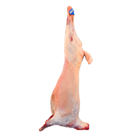 盐滩记羊肉 宁夏滩羊 新鲜现杀30斤散养白山羊年货礼盒  源头直发 【付款后屠宰】宁夏白山羊30斤