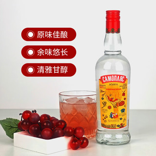 亚里奇 小鸟伏特加 小麦味 56%vol 500ml*6瓶