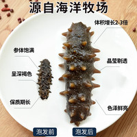 老尹家淡干海参冬季滋补5年深海底播刺参 500g年货礼盒装 88-98头 500g*1盒