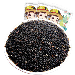 野三坡炒熟黑芝麻500g/袋即食杂粮农家自产非特级新货