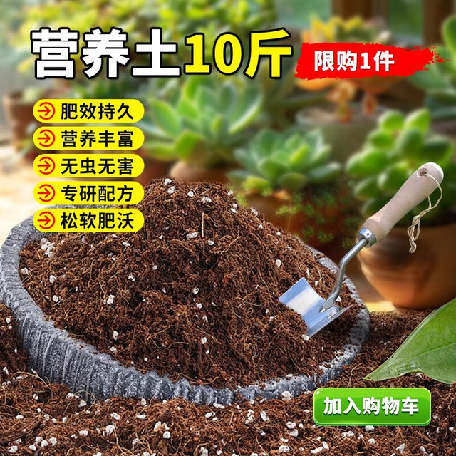 领沃 营养土养花通用专用花土有机家用种菜透气疏松多肉草莓育苗种植土 营养土10斤  (多菌灵生根粉混入)