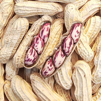 兔大爷 七彩花生米云南特产带壳晒干2024新货花生种粒熟原味咸干五彩花生