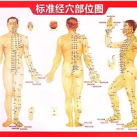 朋意 先做朋友 再做生意 六爪鹿角头部经络梳檀木五爪梳头头皮按摩梳子刮痧梳面部穴位清洁