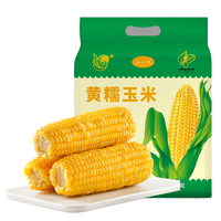 玉小胖 东北黄糯玉米8根>3.2斤 软糯甜黏苞米 真空包装低脂早餐粗粮代餐 铝箔黄糯8根1.6kg