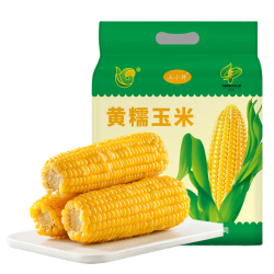 玉小胖 东北黄糯玉米8根>3.2斤 软糯甜黏苞米 真空包装低脂早餐粗粮代餐 铝箔黄糯8根1.6kg