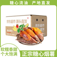 今日必买:京百味 京鲜生山东烟薯25号蜜薯 净重4.5斤 中果150g+