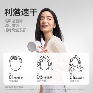 Laifen 徕芬SE高速吹风机 家用负离子大功率速干不伤发电吹风机