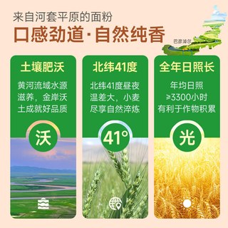 兆丰河套平原雪花粉绿色食品无添加1斤馒头包子饺子面条宝宝面粉 绿色认证雪花粉1斤