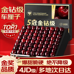 蒲恋 智利进口车厘子5斤装3J级 30-32mm