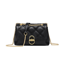 蔻一（Cnoles）包包女包2025新款斜挎包轻奢链条单肩包情人节生日礼物送女友女生 【生日礼物送女友】