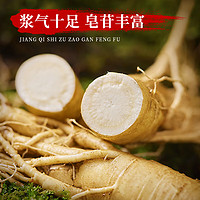 长白山人参 CBM GINSENG 保鲜参酒浸盒装新鲜人参富含人参皂苷煲汤泡酒材料 .另送2个礼袋】