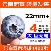 京鲜生 Mr.Seafood 云南蓝莓 2盒装 单盒约250g 果径22mm+ 新鲜水果 源头直发