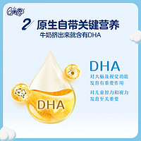 QQ星伊利原生DHA儿童纯牛奶125ml*16盒/箱熊出没装 年货礼盒