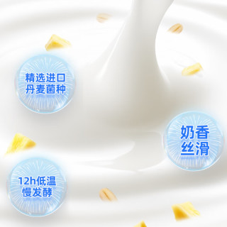 嚼绊凤梨椰椰酸奶营养早餐常温酸奶礼盒装  凤梨椰椰