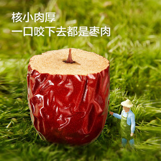 京东京造 新疆大枣500g/袋  红枣骏枣休闲零食煲汤煮粥 【爆品】新疆骏枣500g