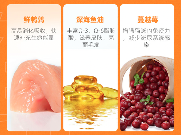 盒边喵星美食：这三款神仙口粮承包崽崽的健康快乐