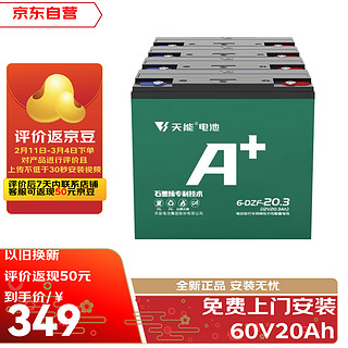 天能 电动车 60V20AH 铅酸电池 电瓶车电池