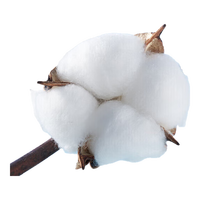 爱慕一次性内裤【4条装】免洗无菌旅行男童内裤 白色130 白色-男童