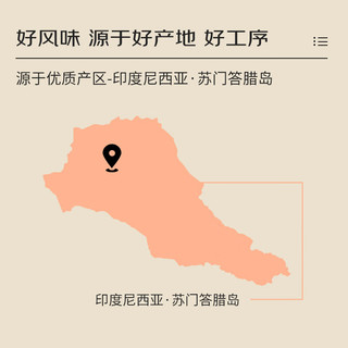鹿家嘴印度尼西亚PWN黄金曼特宁单品精品挂耳咖啡10g×10片 【印尼传奇】黄金曼特宁精品挂耳
