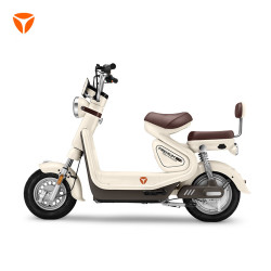雅迪 冠能6代 C60-D 电动自行车