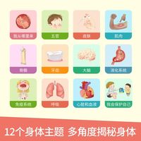 探秘我的身体3d立体翻翻书精装硬壳科普书3--6岁儿童身体认知绘本