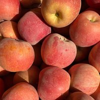 蒲恋新疆冰糖心苹果红富士 脆甜时令丑苹果 整箱平果 礼盒装 整箱9斤75-80MM净重8.5斤