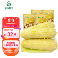 金沃瑞丰 有机白糯玉米棒260g*8支＞5斤  新鲜甜粘黏真空 杂粮粗粮早餐