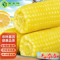 玉米神 Corn God 黄糯玉米棒 东北甜黏粘非转基因  8支≥1800g/包