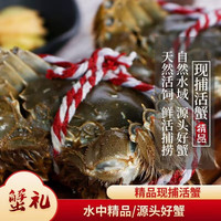 蟹锦记12只新鲜大闸蟹大螃蟹公蟹母蟹水产生鲜中秋礼盒装活蟹 【精选款】全母2.3-2.6两12只
