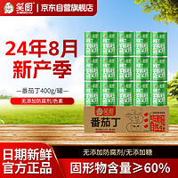 笑厨 新疆番茄丁400g*15罐装 配料鲜番茄 0添加剂西红柿丁罐头汁调味酱