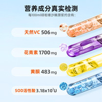 呀啦嗦青海沙棘原浆店高海拔小果沙棘汁