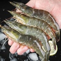 缤鲜新鲜青岛大虾特大鲜活速冻青虾海虾白虾基围虾整箱一箱