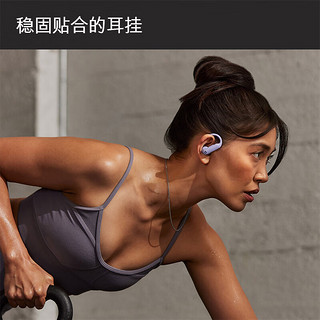 Beats Powerbeats Pro 2 入耳式真无线主动降噪蓝牙耳机 跃动紫