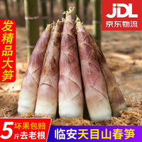 时味季 春笋临安天目山雷笋5斤大号新鲜现挖野生雷竹笋冬笋苦笋毛笋 5斤 3-6两