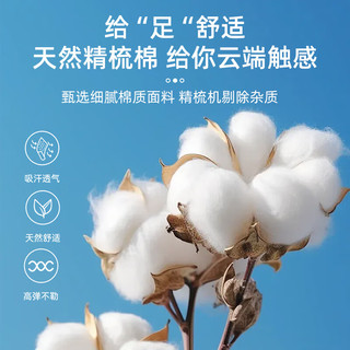 Caramella卡拉美拉男士袜子男100%纯棉袜24年冬季7A抗菌防臭中筒男袜 5双装