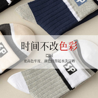 雅鹿毛圈袜男保暖袜子男士中筒袜秋冬季男士加厚长袜毛巾袜男 抽条sp男中筒- 10双