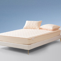 百丽丝水星家纺床垫抗菌防螨床护垫可水洗床笠式床褥宿舍家用 抗菌防螨床护垫(白鹭色) 120cm×195cm