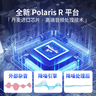 奥迪康oticon 噪声抑制言语增强老年人蓝牙直连耳背式助听器 Real3电池