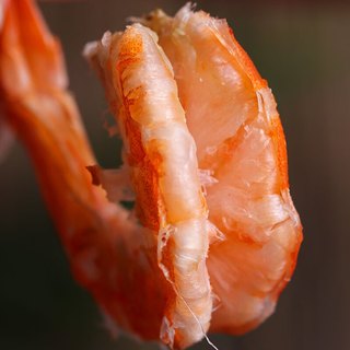 海鲜颂虾干即食烤虾干大对干虾烤海虾干海产干货零食白虾干海鲜风干虾 烤虾干L250g