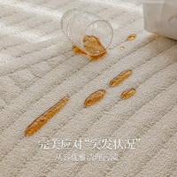 卡提菲亚防水防滑抗污客厅地毯浮尘06 160*230cm 极简轻奢风