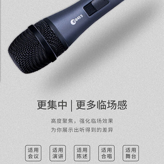 森海塞尔（SENNHEISER） E865人声有线电容话筒麦克风专业演出直播网络K歌录音棚表演话筒 E845S 动圈麦克风