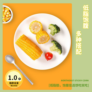 东北黄糯玉米 200g*10支