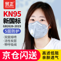 贸正 MAOZHENG 活性炭口罩25只/盒 KN95呼吸阀防尘防花粉工业粉尘防护