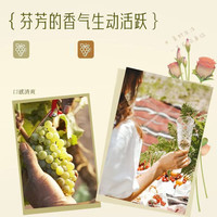 伽伦西岸法国干白葡萄酒单瓶6瓶整箱自饮女士微醺酒晚安口粮酒750ml 单支装