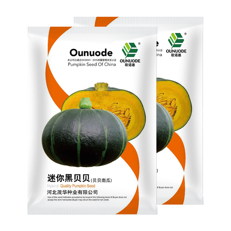 中科茂华蔬菜种子 迷你黑贝贝南瓜种子 贝贝南瓜種子 甜面栗子味道 单瓜500克 瓜中贵族基地种植 迷你黑贝贝10粒/袋【超甜糯】