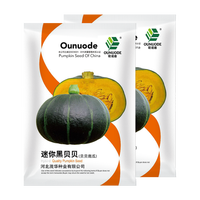 中科茂华蔬菜种子 迷你黑贝贝南瓜种子 贝贝南瓜種子 甜面栗子味道 单瓜500克 瓜中贵族基地种植 迷你黑贝贝10粒/袋【超甜糯】