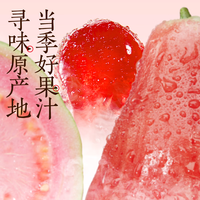 果子熟了芭乐油柑复合果汁饮料柠檬真实果汁【10瓶装活动】  350ml*10瓶