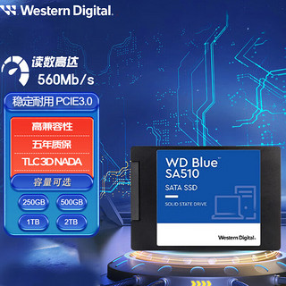 西部数据 蓝盘 SATA 固态硬盘 1TB (SATA3.0) WDS100T2B0A